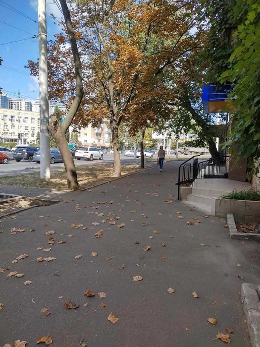 Фасадное помещение на Сегедской