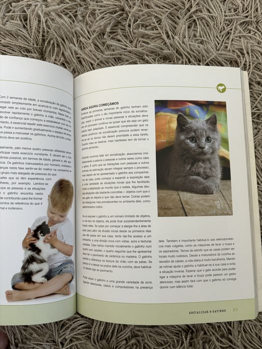 A linguagem secreta dos gatinhos