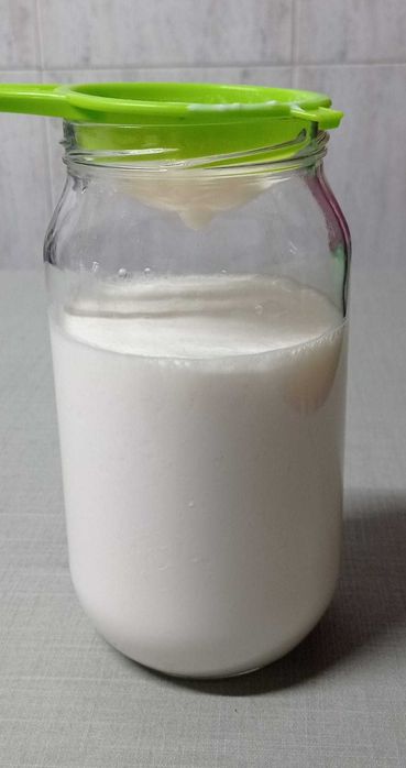 Kefir de Leite (40g)
