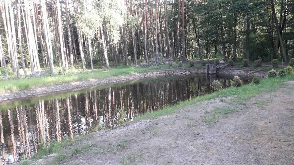 ZACISZE LEŚNE Domek do Wynajęcia