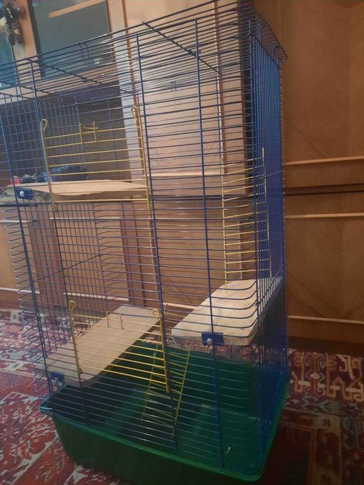 Клітка для гризунів