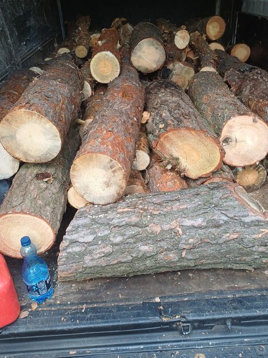 Drewno opałowe sosna i też gatunki liściaste