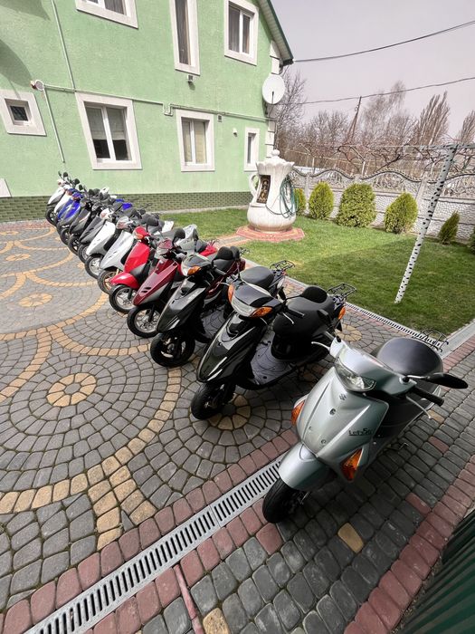 ПереВірені Та готові до Сезону скутери HoNDA DIO aF34/35