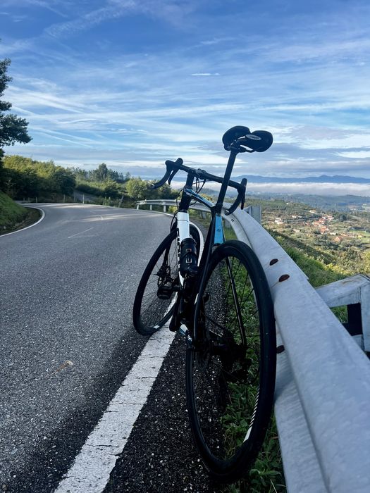 Giant TCR Advanced 2 Disc Carbono Shimano 105 ( L )