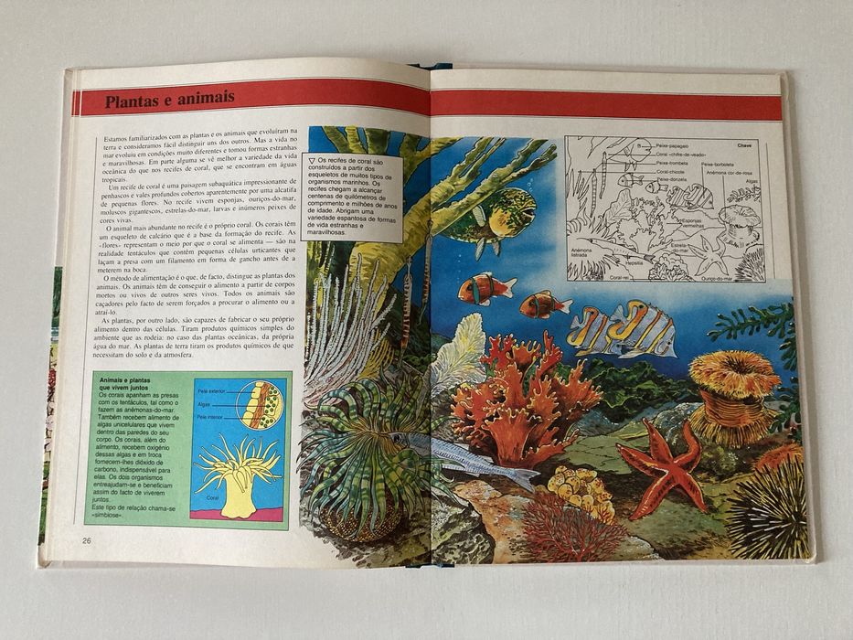 Livro Biologia – Plantas, Animais e Ecologia, de Ifor Evans (Anos 80)