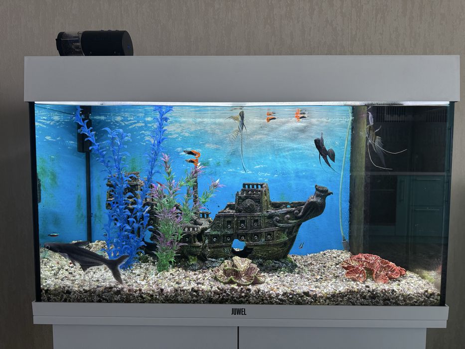 Акваріум з тумбою Juwel Rio 125 LED