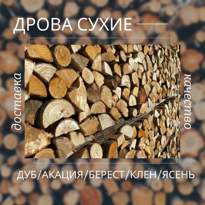 Дрова Дуб, Берест, Клен, Акация, Ясень. Круглый год 3 скм