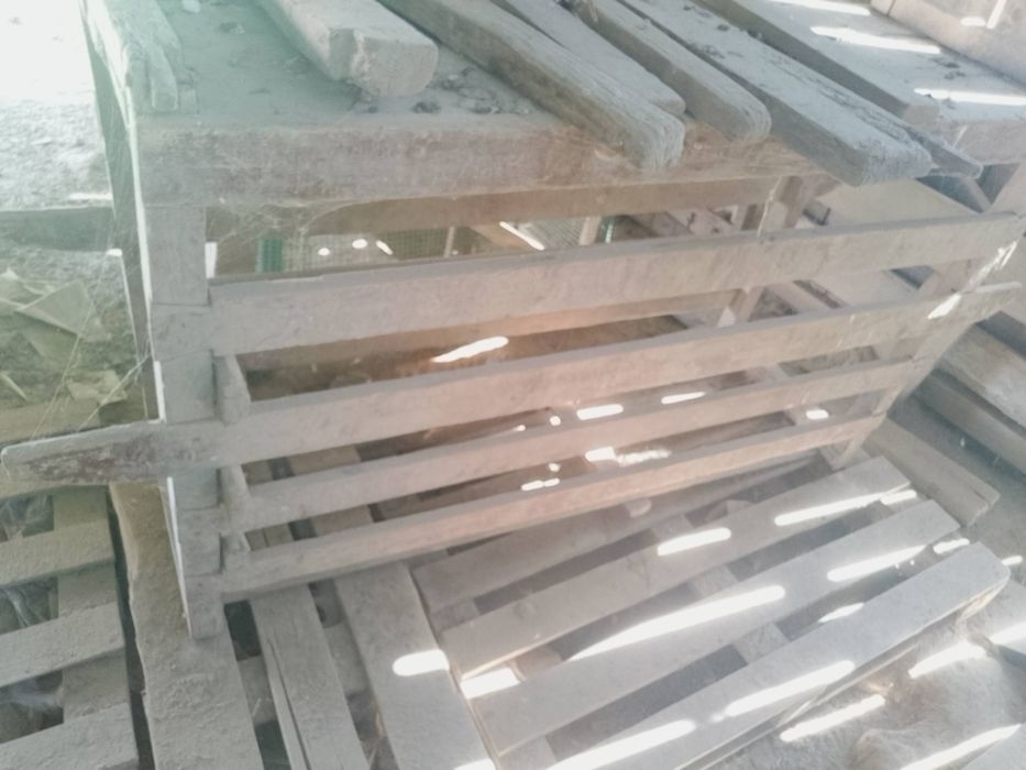 Klatka do transportu zwierząt