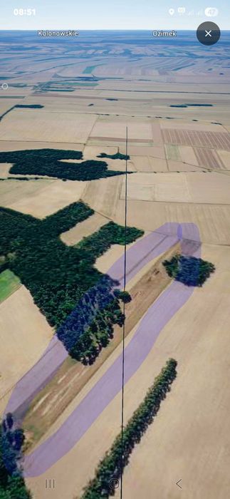 Dzialki  lesne znajdujące się na terytorium łowkowic powiat kluczborski - Widok 3