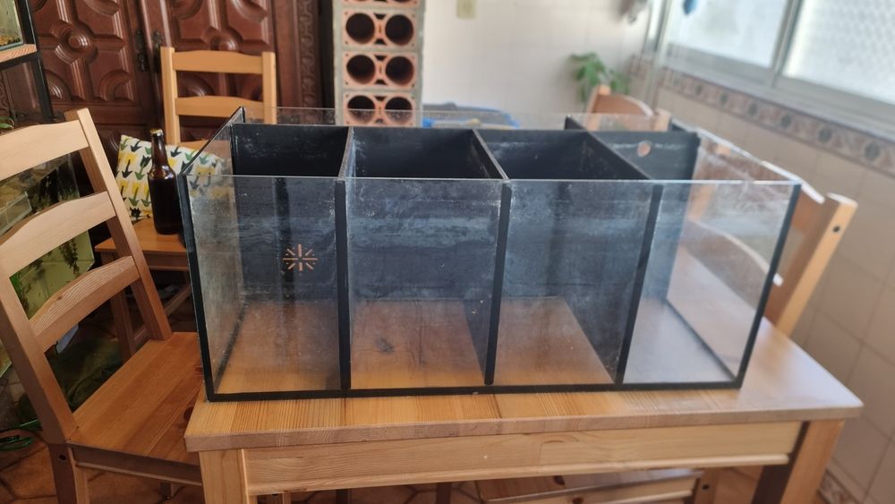AQUÁRIO 60x30x26 com 4 repartições,  ideal para criadores de peixes