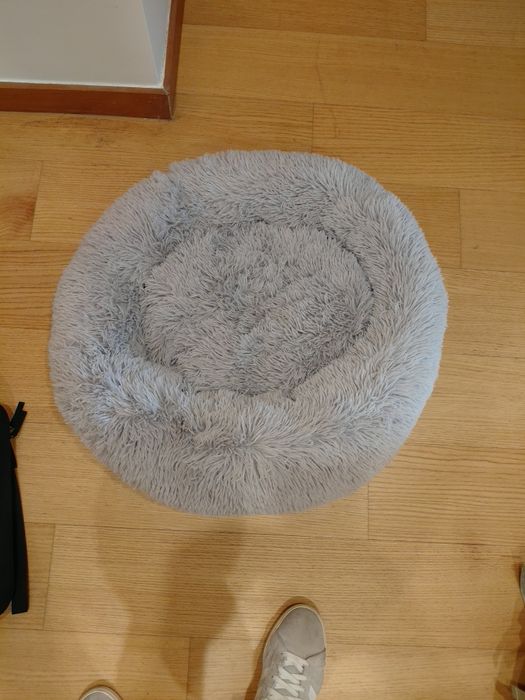 Cama gato 60-70 cm