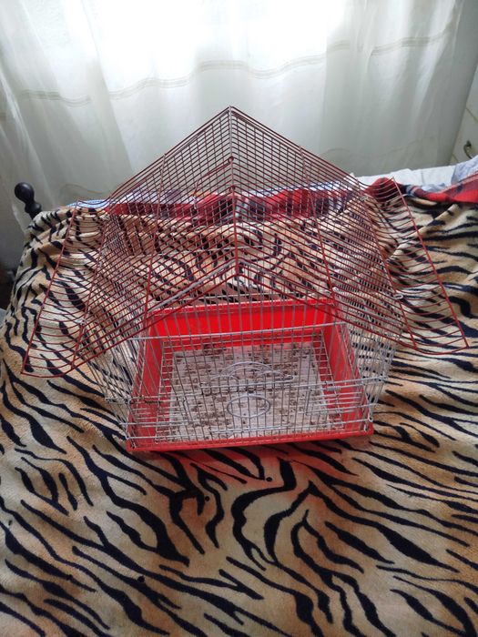 Gaiolas em bom estado