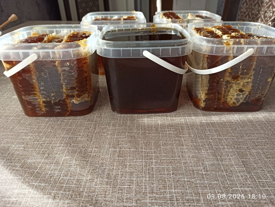 Продам гречаний мед