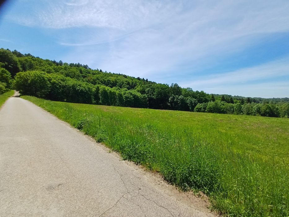Widokowa Działka budowlana Jastrzębia koło Lanckorony - Widok 2