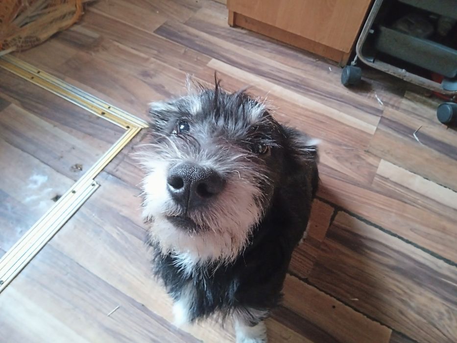 Bombelek – 2 lata czekania na cud.