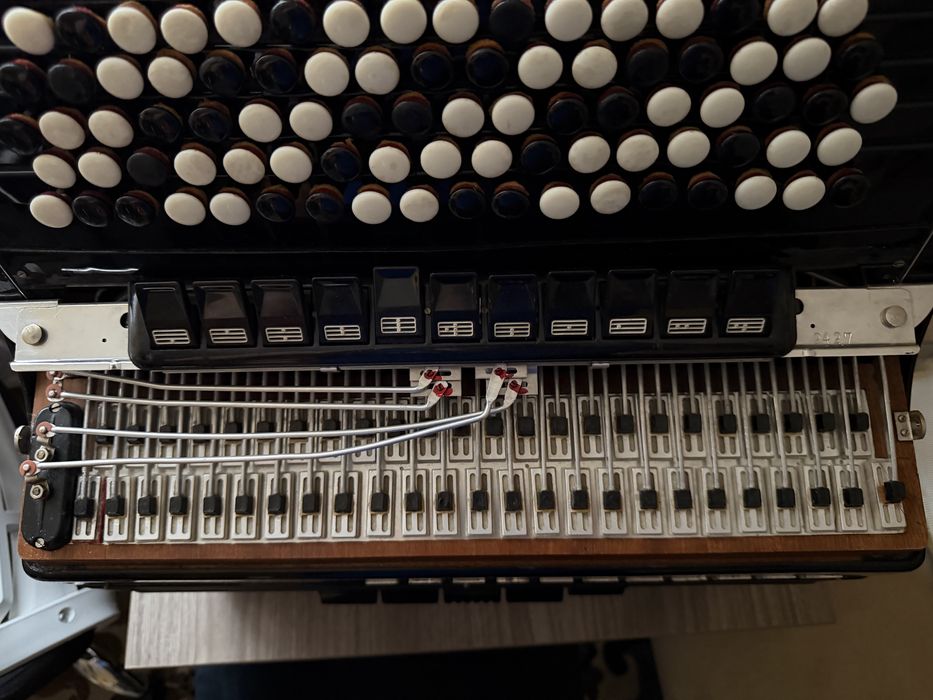 Weltmeister supita B z barytonami