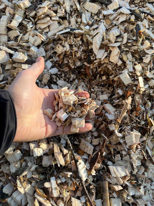 Zrębka trociny do ściółkowania na rabaty ścieżki, świeża, b. ładna