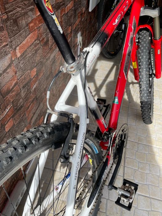 BH coronas team quadro M