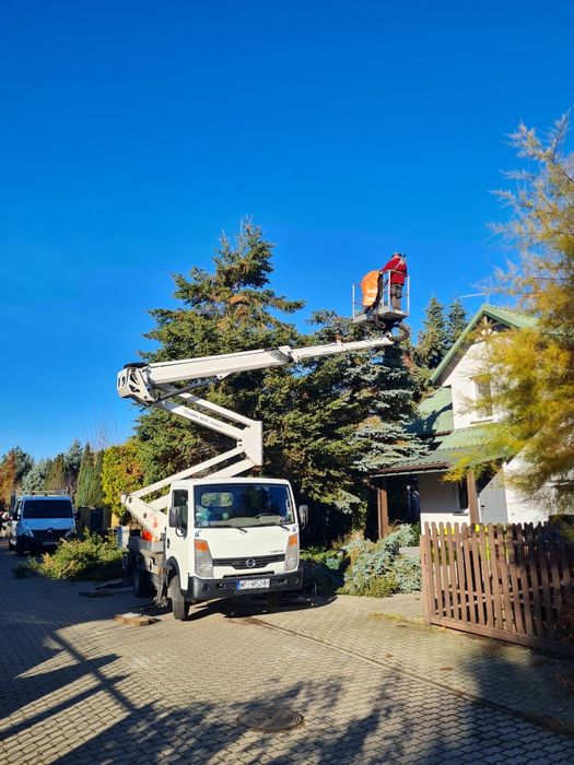 Wycinka drzew - także trudnych | przygotowanie działek