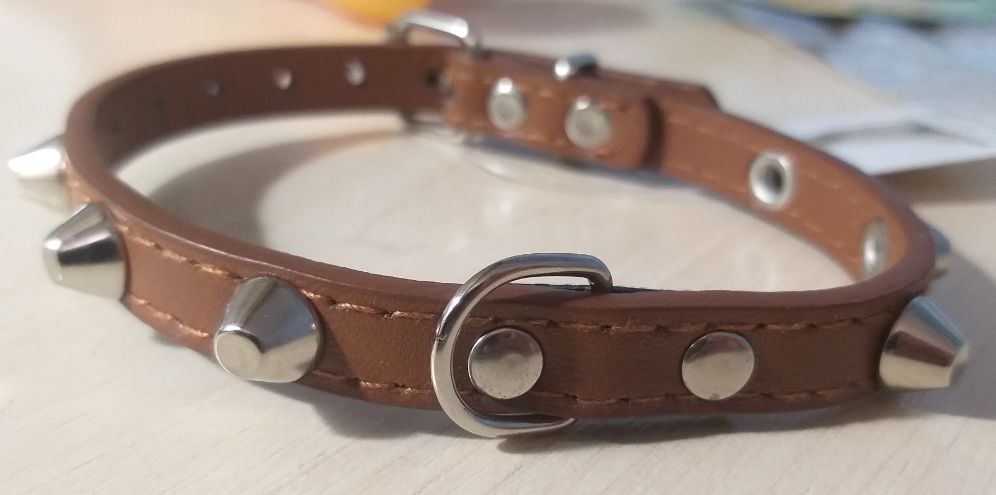 Поводок, ошейник, игрушка и перчатка