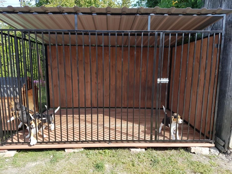 Kojec klatka Box Dla Psa Szybka buda dostawa 3mx2m montaż gratis