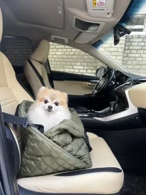 Сумка автокрісло переноска для тварин