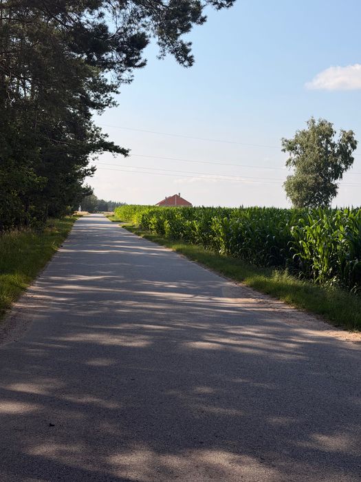 SPRZEDAM DZIAŁKĘ rolną z potencjałem zabudowy  – ŁĘKA, GMINA KOŚCIELEC