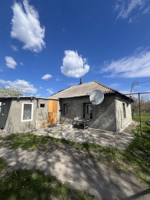 Будинок з газовим опаленням Петриківка