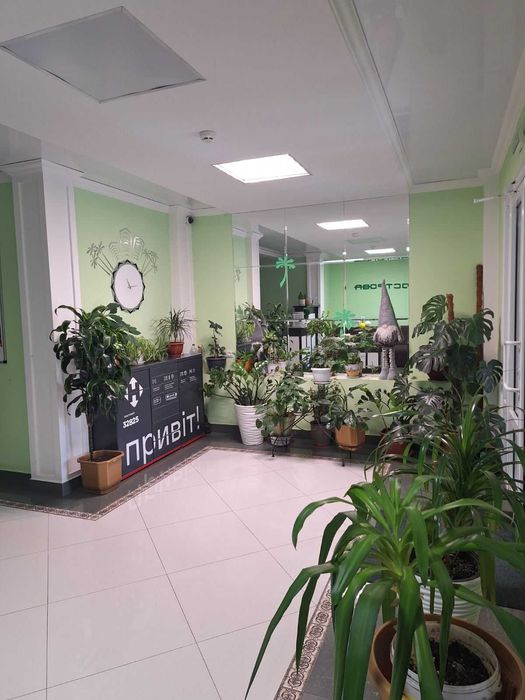 Одно комн. 52мт ЖК Острова (свеча)