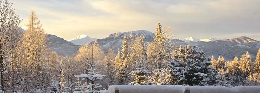 Apartament 4-osobowy 2 pokojowy lub Domek  Kościelisko obok Zakopanego