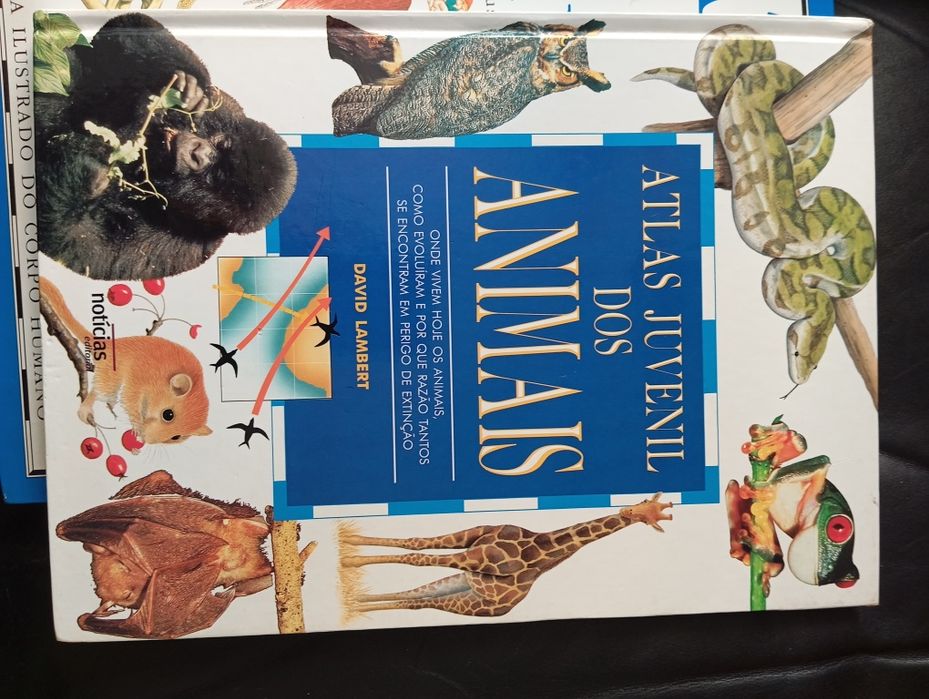 Vários Livros juvenis