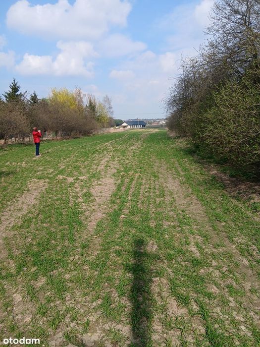 Działka rolna 2194 m² z mediami w spokojnej wsi