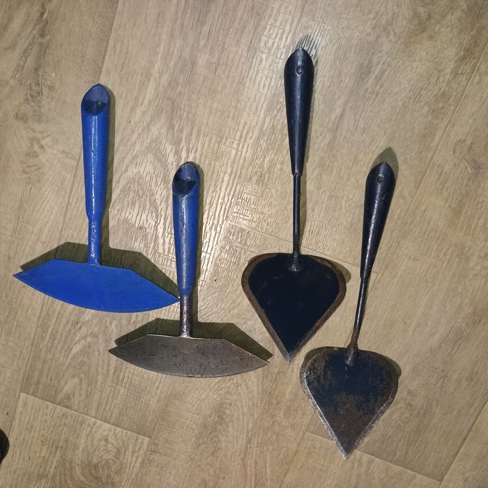 Плоскоріз Широколезовий /Плоскоріз Листоподібний