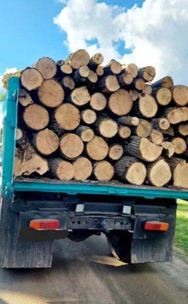 Дрова дубові рубані з ділянки, напряму, опт, роздріб. 3-5-6-10-27.5 м3