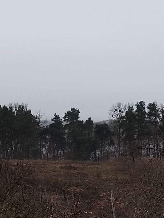 Продається будинок