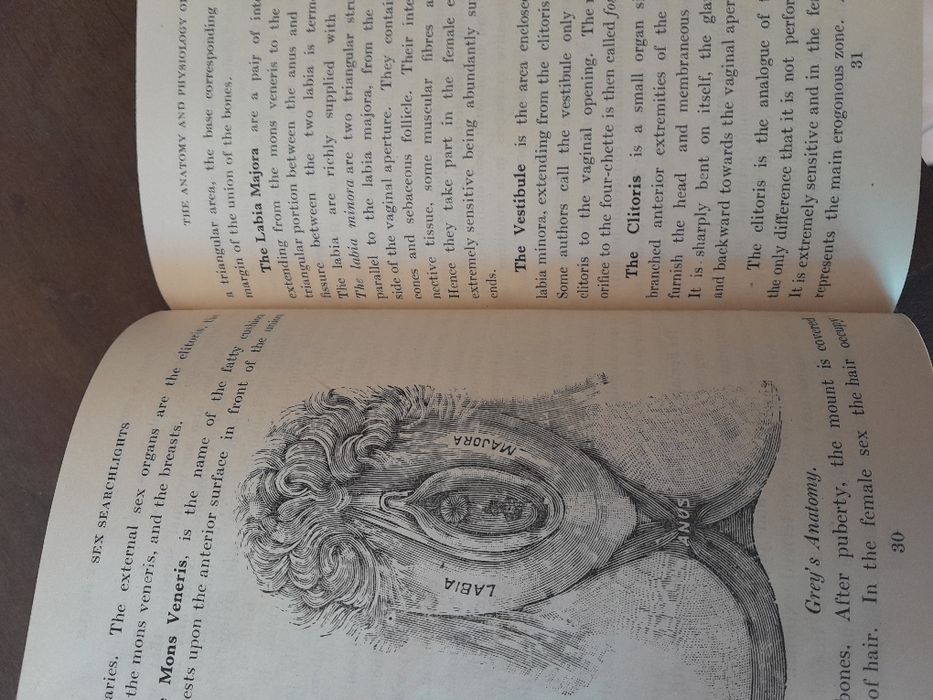 Sex searchlights by Prof.Em.Airi