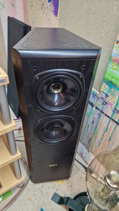 Tannoy D 500 Black Ash