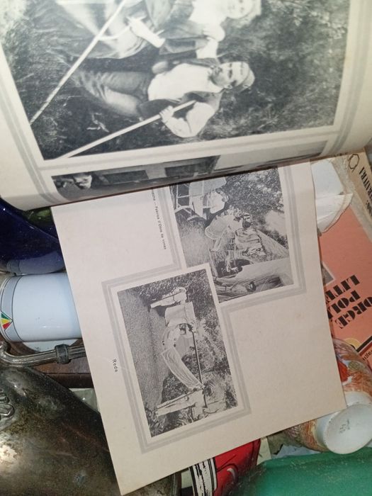 Imagens Funchal pequeno livro