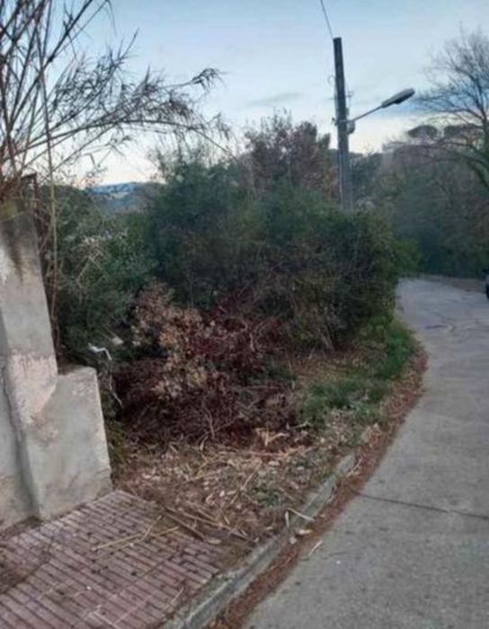Limpieza de terrenos