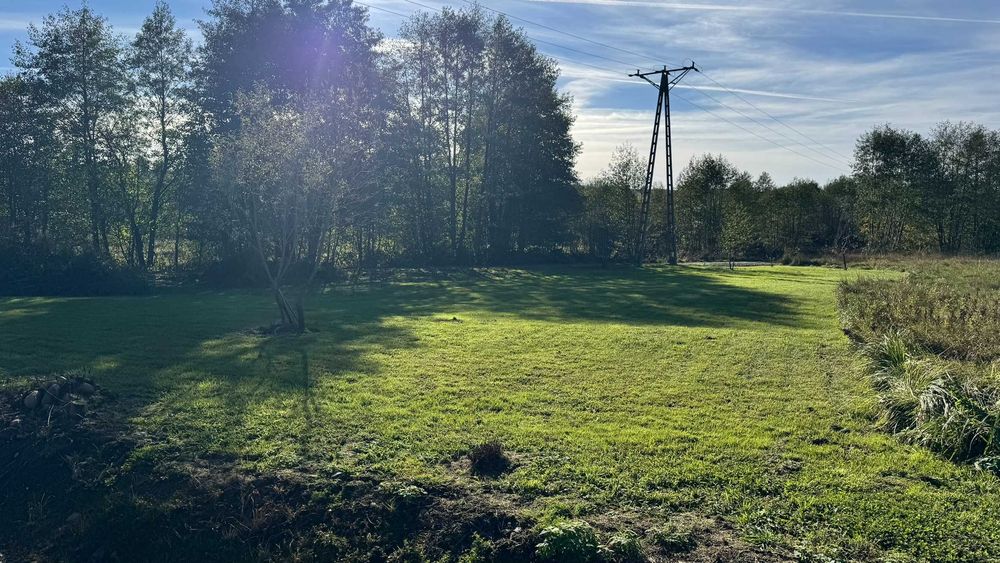 Atrakcyjna działka 1999 m² – dom + działalność w jednym miejscu - Widok 3