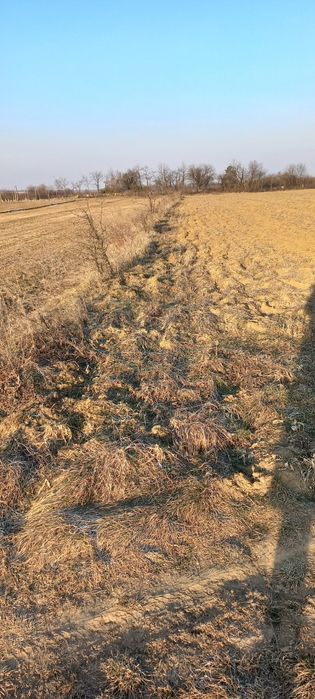 Земельна ділянка