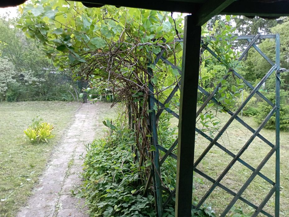 Działka ROD na sprzedaż – Mokotów, ROD Obrońców Pokoju - Więcej