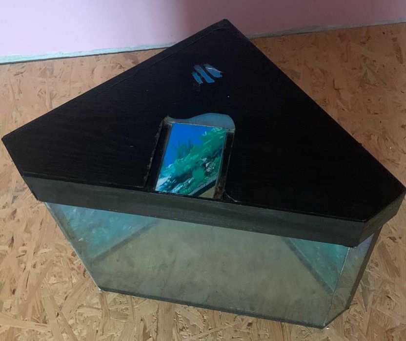 Акваріум, терраріум