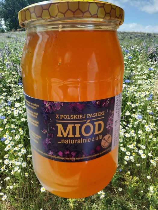 Świeży miód 2025