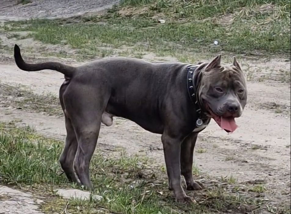 Стафф для в'язки.