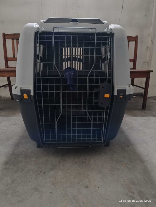 Caixa Transporte Cães Avião Skudo 6 IATA