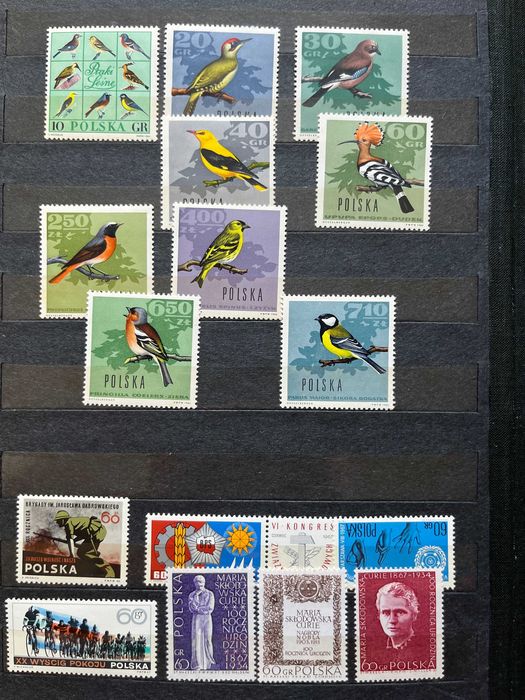 Znaczki polskie zestaw