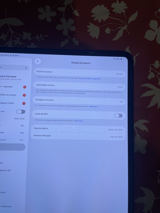 iPad Pro M4 |13” (Wi-Fi+Celular) com Apple Pencil