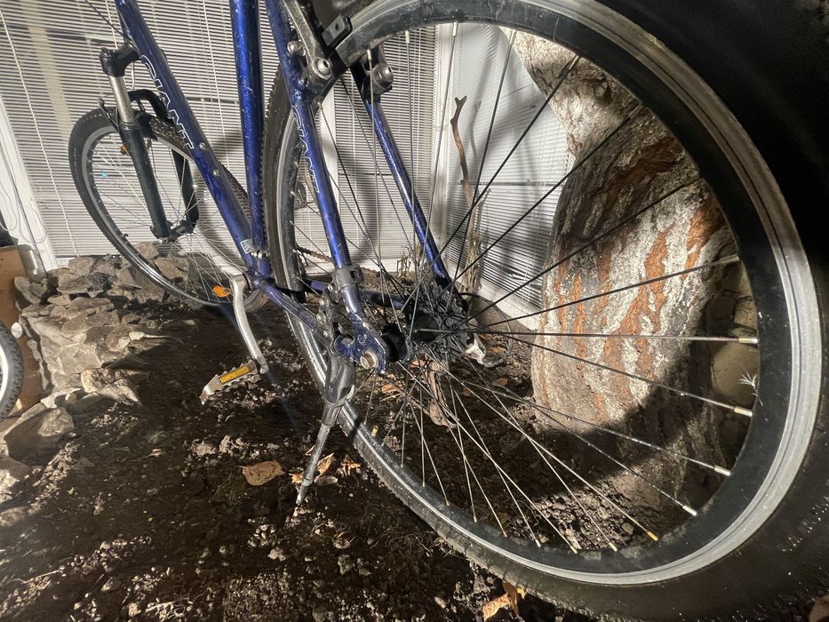 Велосипед Giant Freerider 28" XXL синій