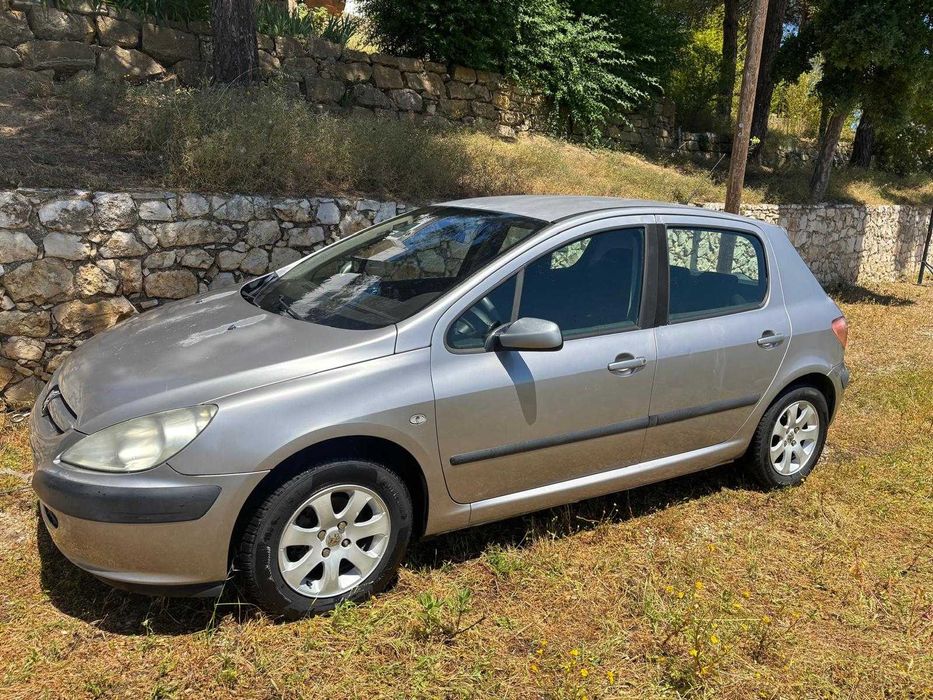 Pegeout 307 gasolina